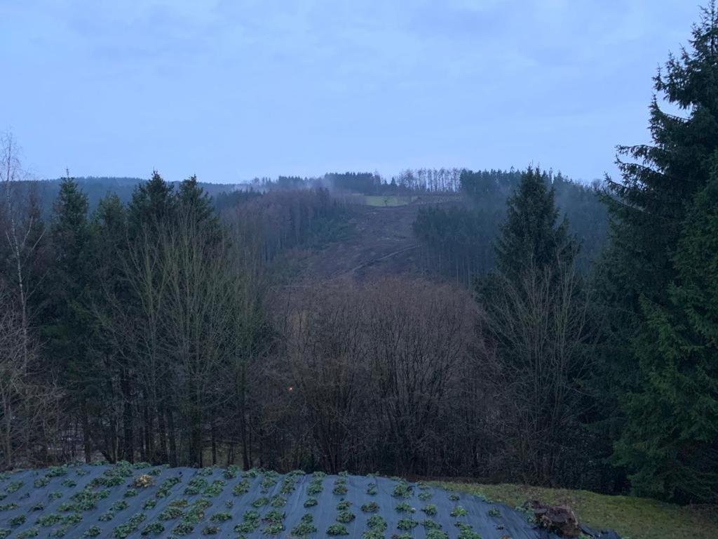 Terrasses De Malmedy Connecto Duplex 435 & 436 En Studio 336 Eksteriør billede